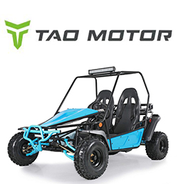 Tao Tao Go-Karts